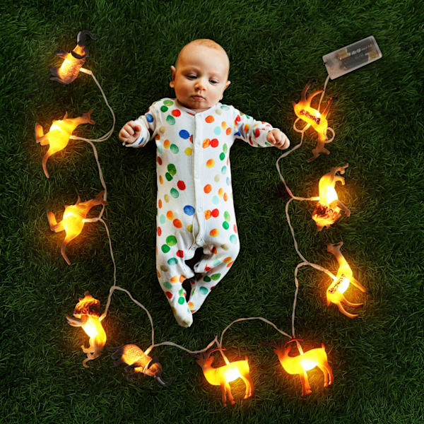 Animal String Lights 10 LEDs Små djur String Lights Barnrumsdekoration för barnrum Inomhus String Lights