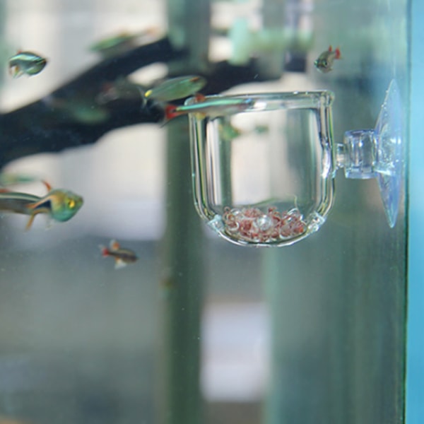 Transparent Aquarium Red Worm Feeder Sugkopp Fisk Matningskopp Behållare Tillbehör Glashålkopp
