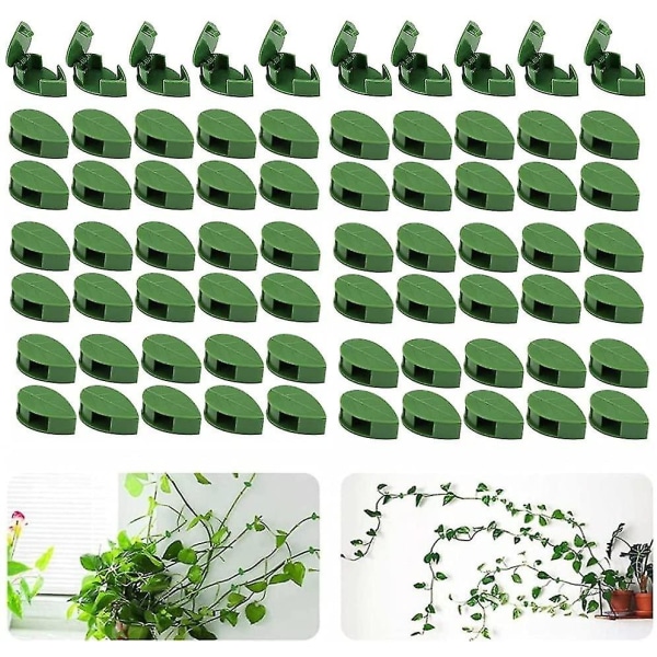 Sæt med 70 vægclips til klatreplanter - til haven, hjemmet, kontoret