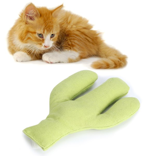 Canvas Pet Cat Simulering Söt form Kattmynta Tänder Rengöring Slipning Rolig Träning Interaktiv ToyCactus