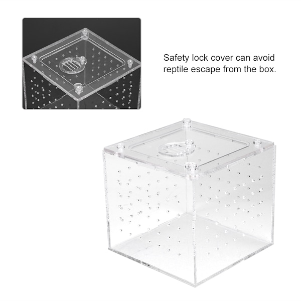 1. Reptil Terrarium Foder Slange Edderkop Øgle Avls Akryl Box Case Insekter Hus