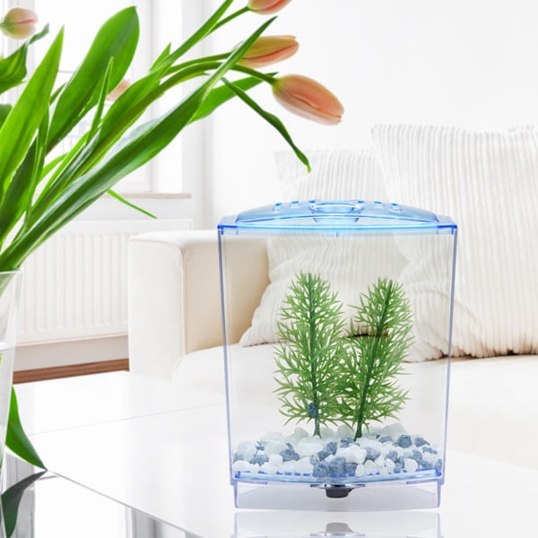 Mini Akvarium Transparent Vandplanter Opdrætskasse Yngel Inkubator (enkelt)
