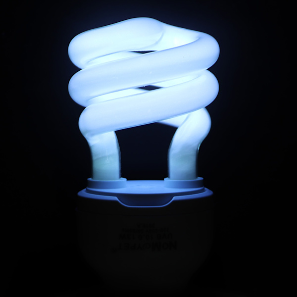 13W 220-250V UVB Husdyr Reptil UV-opvarmning Sollys Lys Amfibieøgle Skildpaddelampe (10.0)