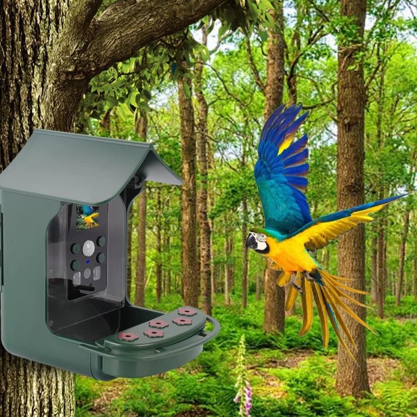 1080P automaattinen sieppaus, lintukamera Hummingbird-syöttölaitteella, PIR-liiketunnistin