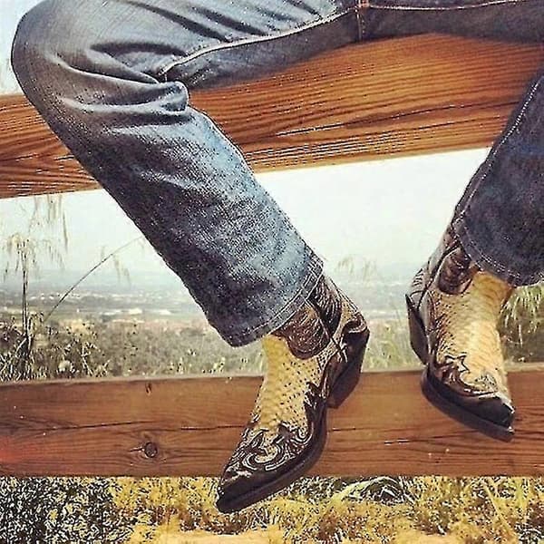 【NX】Python Western Støvler Farveblok Broderi Herrestøvler Mode Moderne Sko 43