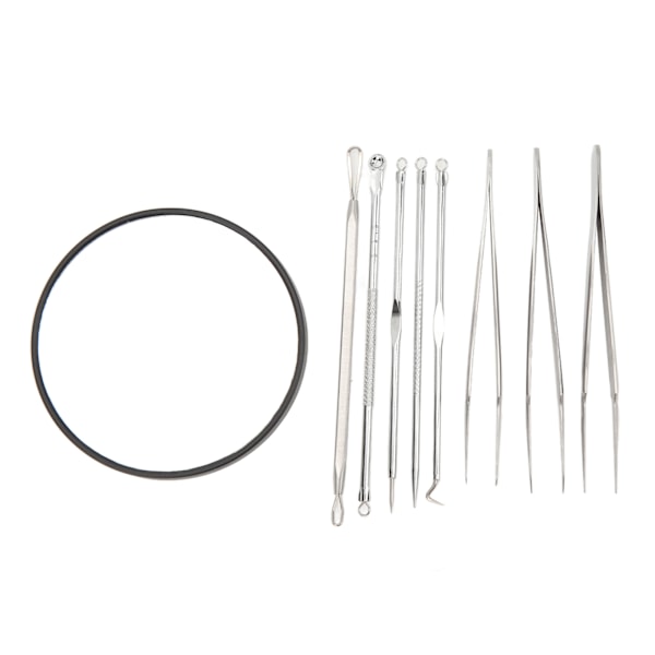 Finnar Nålar Set Svart 10X Förstoring Spegel Spisspets Pormaskar Remover Tools