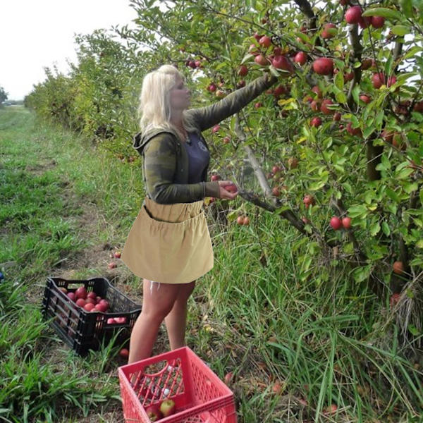 Bærforingspåse Multifunksjonell Slitesterk Nylon Frukt Foraging Oppbevaringsveske med Spenne
