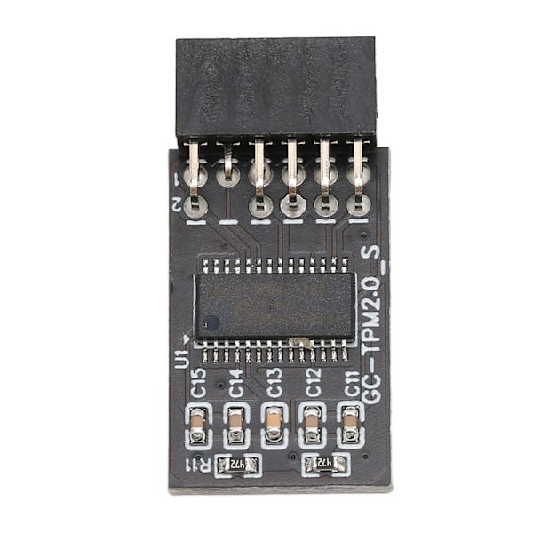 TPM 2.0 -salaussuojausmoduuli GIGABYTE 12Pin LPC-liitäntään Korkean turvallisuuden moduuli etäkorttien salaukseen