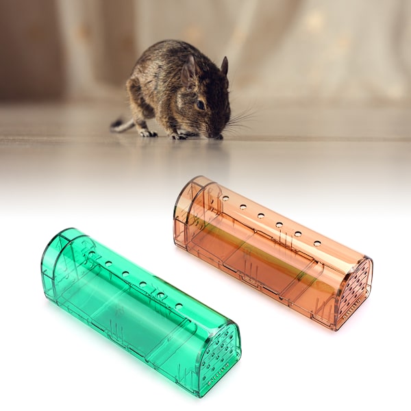 2ST Musfälla i plast Human Återanvändbar råttfångarbur Gnagare Musfälla för hembutik Hotell2PCS