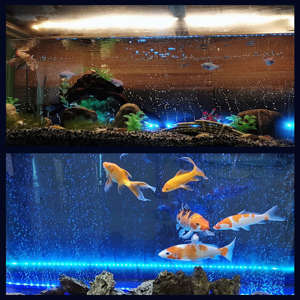 Multifunktionel LED Farverig Lysstribe Boblelysstang til Akvarium Fisketank 100-240v EU(DB-40)