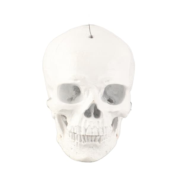 【NX】Skull Windmill Skull Gyratory Windmill Wind Spinner Front Yard Decor