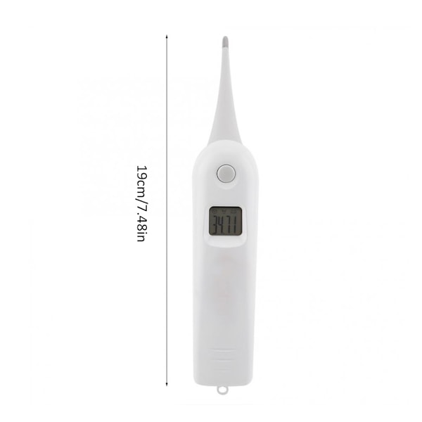 Vetermometer Digitalt Dyretermometer Elektronisk Termometer til Dyr