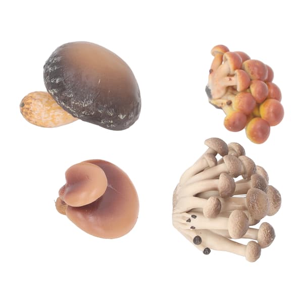 4-pack Miniatyr Svampmodell Set Hög Simulation Svampfigurer Dekoration för Utbildning Typ 1