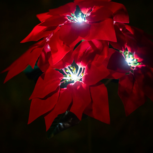 Solcelledrevne Hagepæl Lys 5LED hvitt lys Hagelampe LED Sol Julblomst Lys Julferiedekorasjon