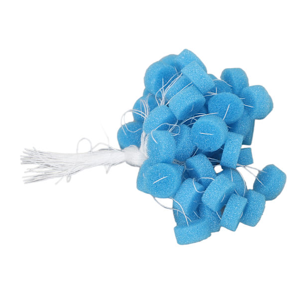50 st Hörapparat Öronskydd Bärbar Flexibel Sponge Ear Plug Hörapparattillbehör för ElderlyXL Blå