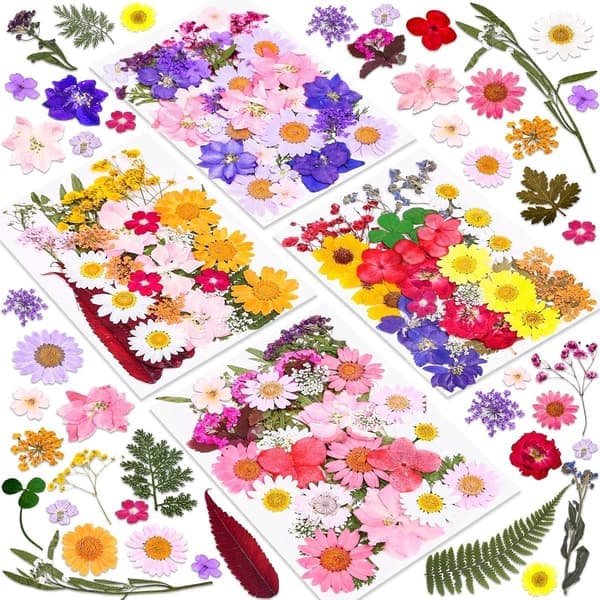 Tørkede blomster - DIY håndverkssett med tørkede blomster - Konserverte blomster