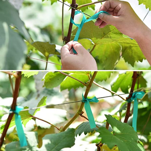 2-pack gröna växtträdgårdsfästen, trädgårdens vinylpålar för grenar, klätterväxter, blommor