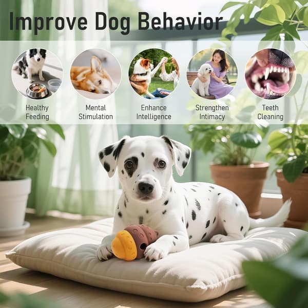 Godbiduddelende Hundelegetøj - Hive Grøn Silikone Puslespilsfoderbold til Små og Mellemstore Hunde, Mental Stimulering & Langsom Fodring B B