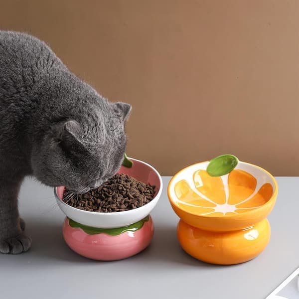 Ceramic Raised Cat Bowl - Pink Elevated Indoor Cat Bowl Anti Vomiting & Spine Protection