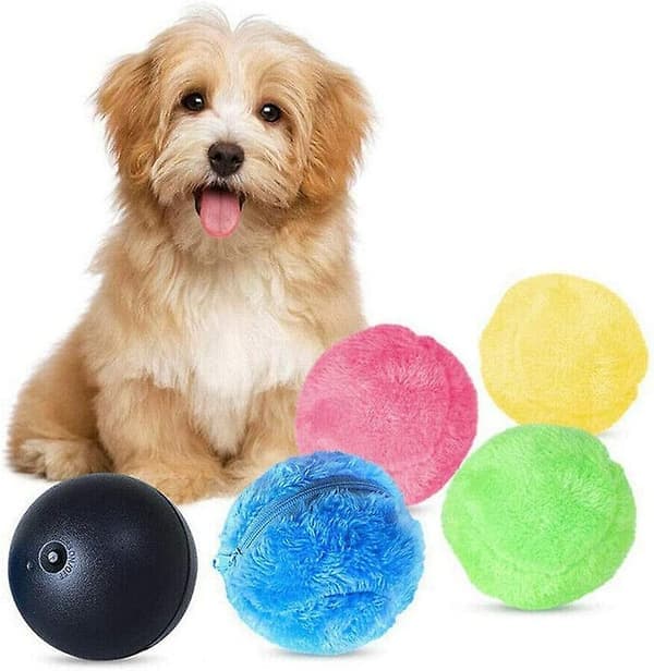 Automatisk rullende magisk ball for hund