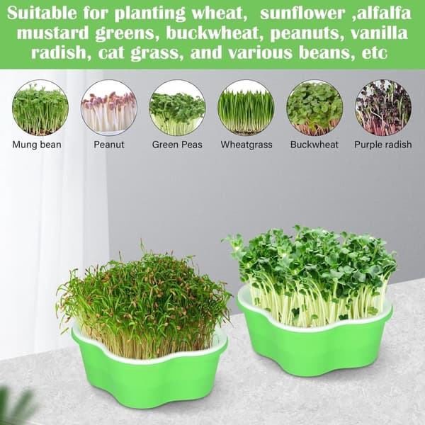 Fröbrickor - Frökoppar - 4 fröbrickor för groning - Växtbrickor lämpliga för inomhusplantering