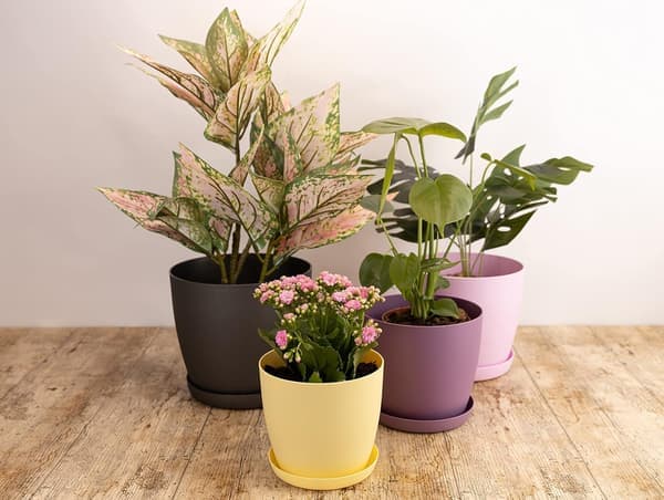 Hvide havepynt hvide potter med underskåle - Udendørs potter med mat finish og plantebakke - Potter med underskåle Sort