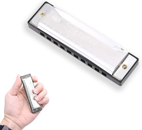 Munspel C-dur 10 hål 20 toner Munspel Nybörjarinstrument (Silver)