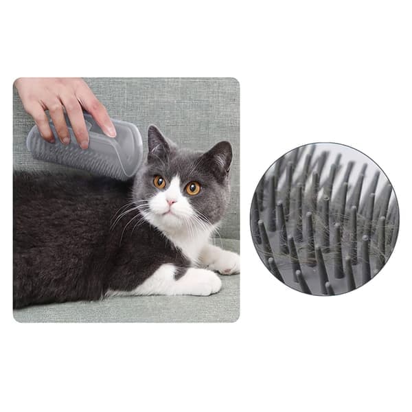 Kattborste med fack för kattmynta - Självputsande för katt