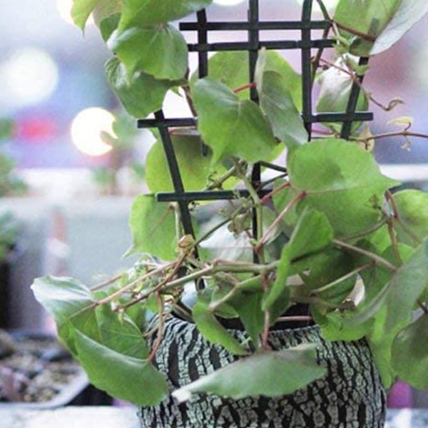 Kruktrellis, spaljé för inomhusväxter, miniväxttrellis DIY trädgårdsväxtstöd, överlagrad, klätterspaljé blomsterstöd för krukväxter klättring