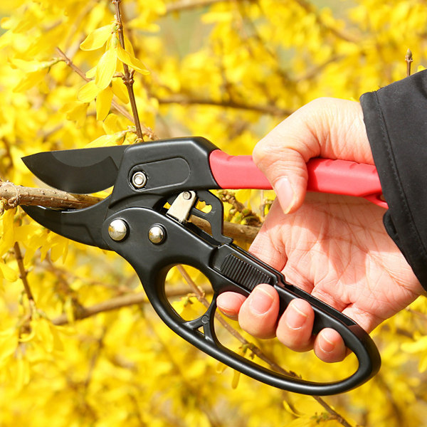 Stångsax med städ och automatisk spärr? Trädgårdshäck Sax, Grenklippare, -