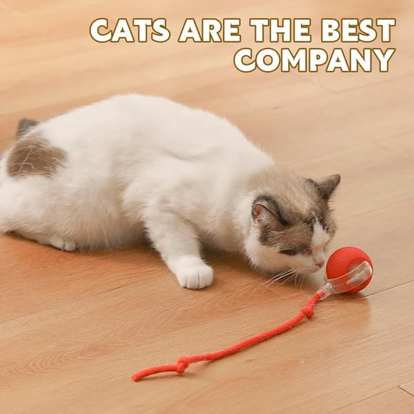 Rolling Pet Ball Interactive Cat and Dog Toy 360° Intelligent Automatic Rolling Ball Chew Resistant Intelligent Rolling Ball.