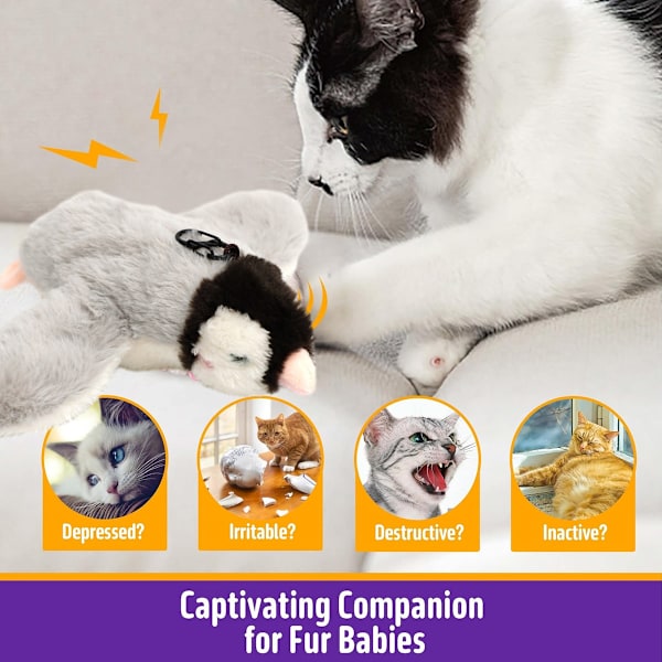 Katt leksaker, fladdrande vingar sparv kattmynta leksaker, levande kvittrande, simulering fågel interaktiv katt leksak för kattunge kattunge träning