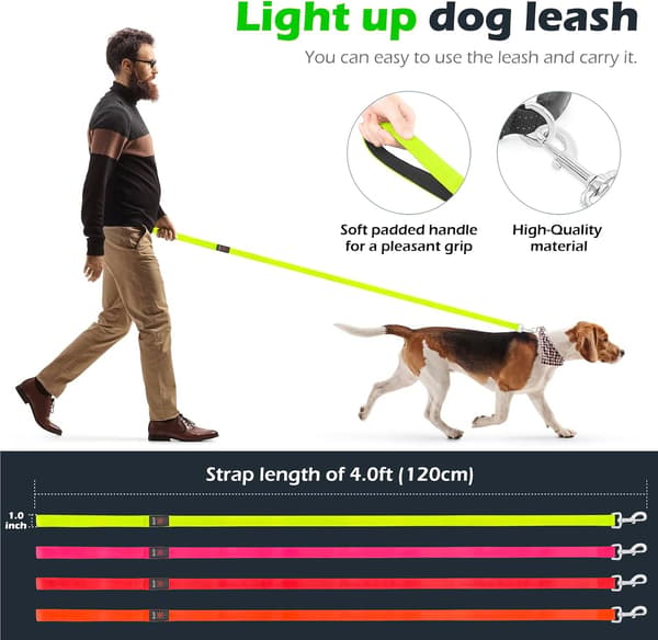 LED Hundebånd Lysende 1,2 meter USB Oppladbar Nylon Webbing Glød Sikkerhet Standard Grønn)