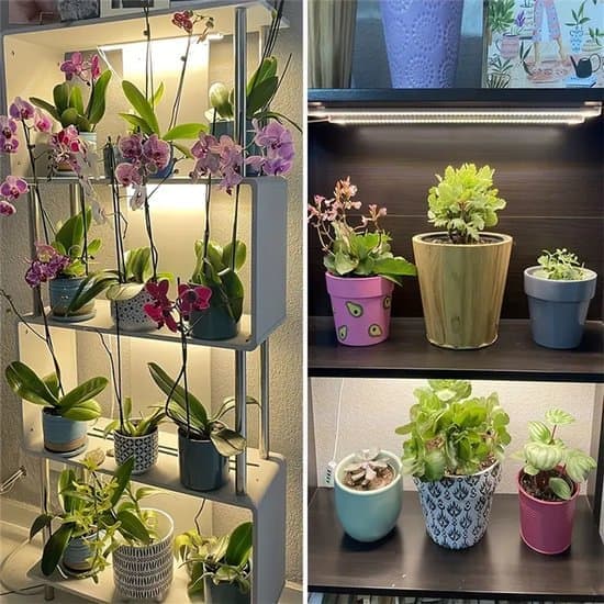 LED Växtlampa för Växter - Växtbelysning - Växtlampor - Fullspektrum - 30CM - för Krukväxter & Suckulenter