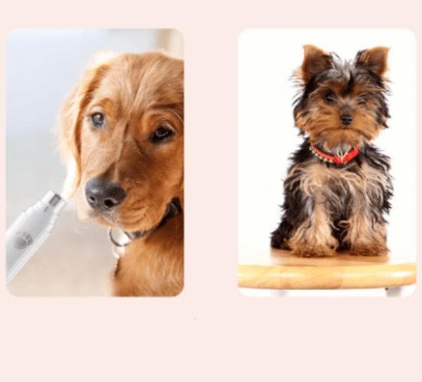 Hundeklo med LED-lys, elektrisk kjæledyrneglsliper, egnet