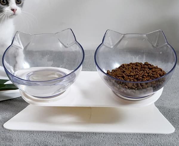Raised Bowl - CUNEARY - Double - 15° Tilt - Plastic - Non-slip