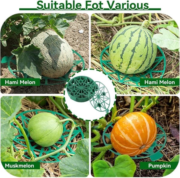 10 Pcs Melon Cradle, Watermelon Holder, Melon Pumpkin Support, Plastic Pumpkin Support Kit for Cantaloupe, Squash, Watermelon