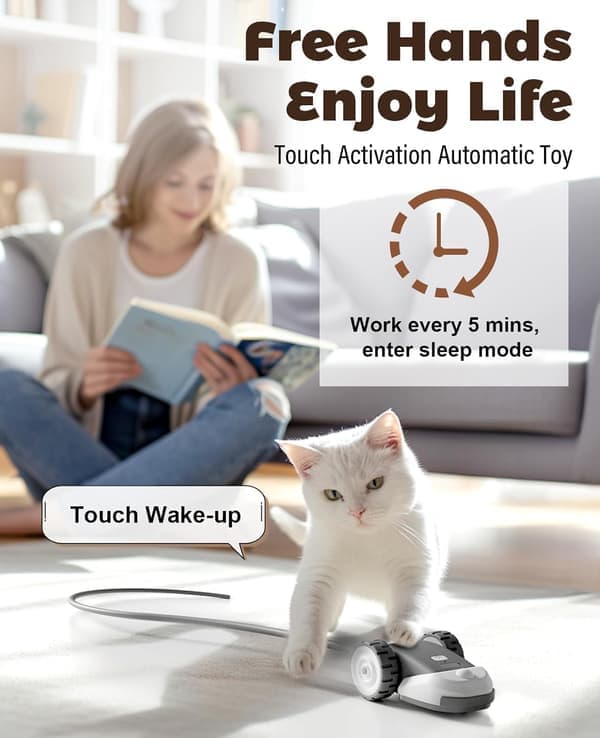 3-in-1 Interactive Cat Toy with 2-Speed Automatic Mouse, Hanging Feather & Silicone Tail - Self-Play Fun for Bored Indoor Cats & Kittens grey