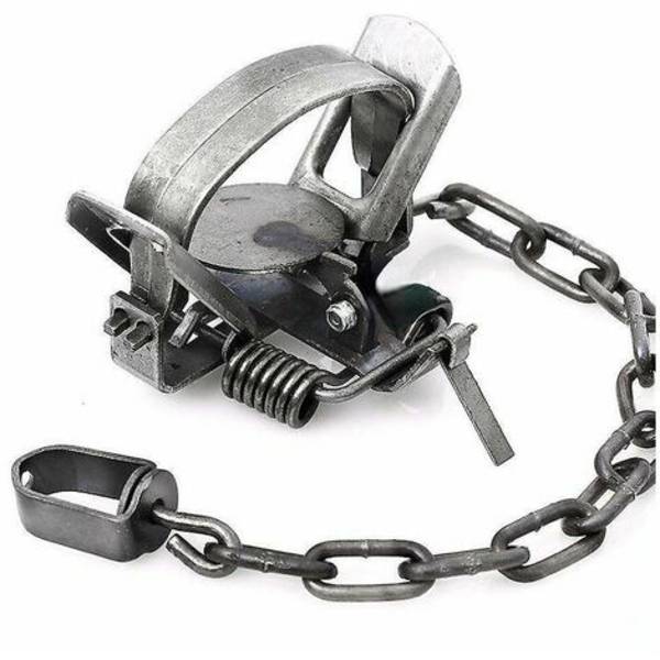 Metallspiralfjäder utomhusfälla räv bobcat sork skunk mysk råtta kanin skadedjursbekämpning effektivt och mycket känsligt trädgårdsverktyg thsinde
