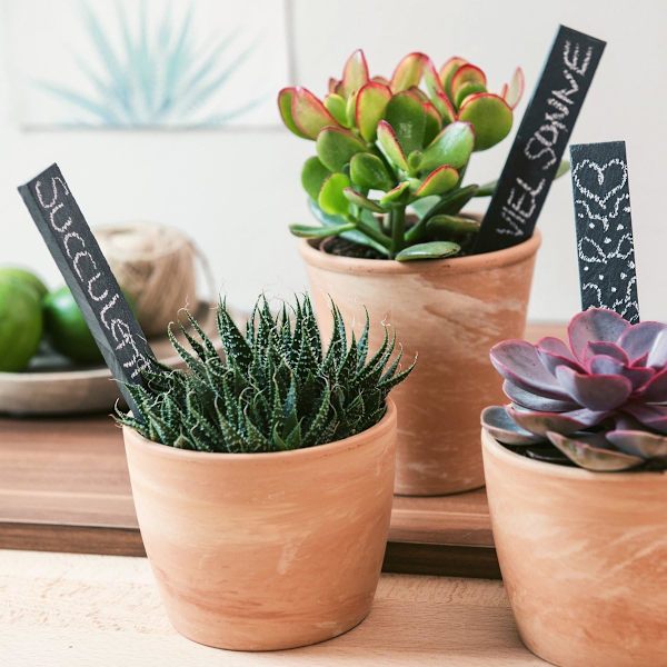 Skiffer växtetikett - Växtmarkör 20 x 3 cm - Set med 10 trädgårdsetiketter för växter grönsaker blommor - Skylt med krita