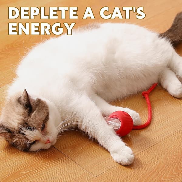 Rolling Pet Ball Interactive Cat and Dog Toy 360° Intelligent Automatic Rolling Ball Chew Resistant Intelligent Rolling Ball.