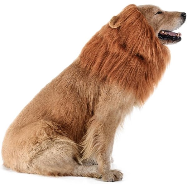 Lejonman för hund - Realistisk och rolig lejonman för hundar - Kompletterande lejonman för hundkostymer - Lejonperuk