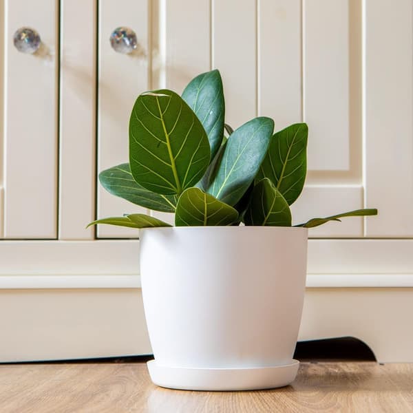 Hvide havepynt hvide potter med underskåle - Udendørs potter med mat finish og plantebakke - Potter med underskåle Sort