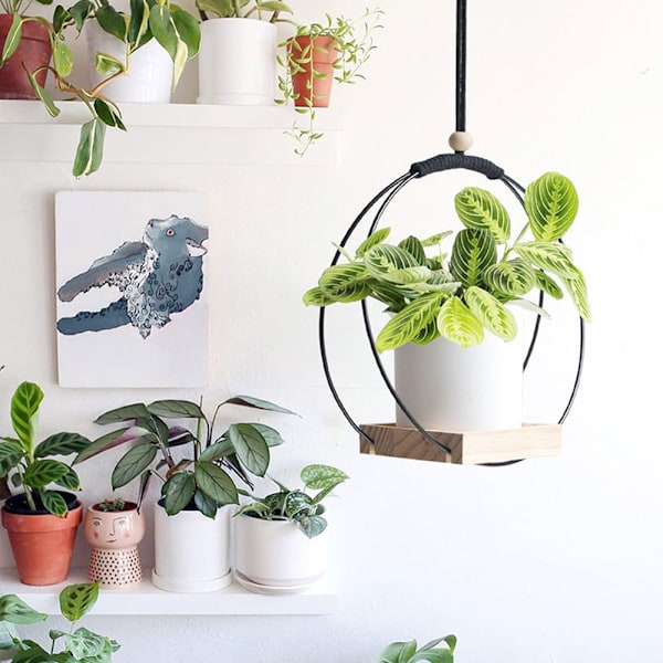 Hängande planter med träbas, Macrame hängande växtkruka, Dekorativ blomkrukahållare, Växt hängande kruka för vägg, fönster, Boho gold