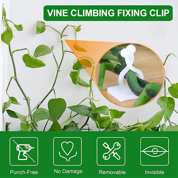 160 st plantklättring väggfäste clips, växtklämmor, vinväxt väggklämmor, självhäftande osynlig växtfixeringskrok för växtträdgård väggklämma,