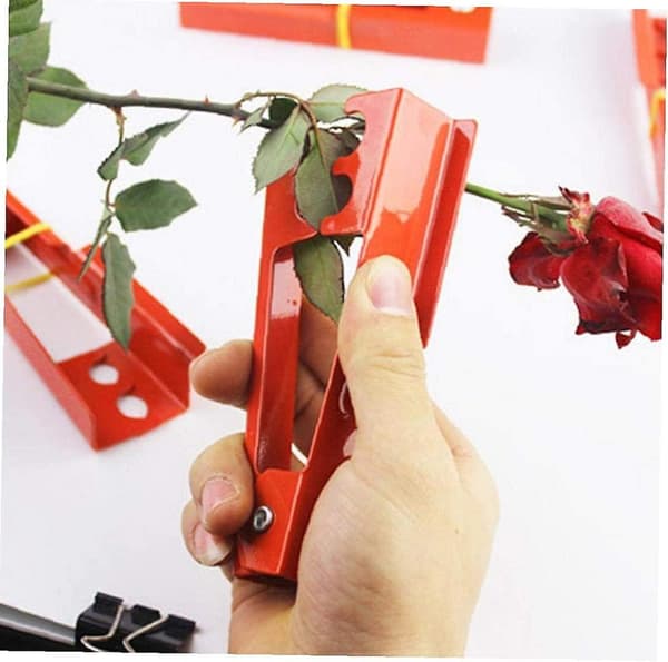 Klippeværktøj Blomsterhandler Metal Blomst Rose Tornefjerner Rosentang