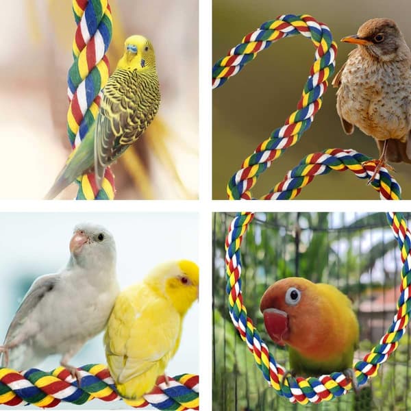 Bird Bungee Climbing Swing - Colorful Budgie Rope Perch (60 cm)
