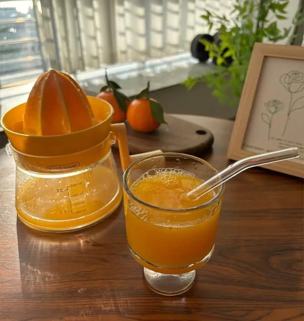 500 ml Manual Citrus Juicer with Rotating Crank, Maximum Extraction for Oranges, Lemons, Limes, and Grapefruits, Dishwasher Safe