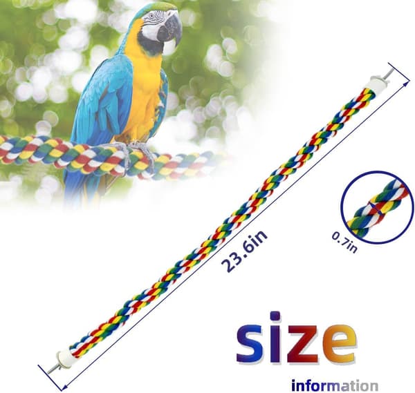 Bird Bungee Climbing Swing - Colorful Budgie Rope Perch (60 cm)
