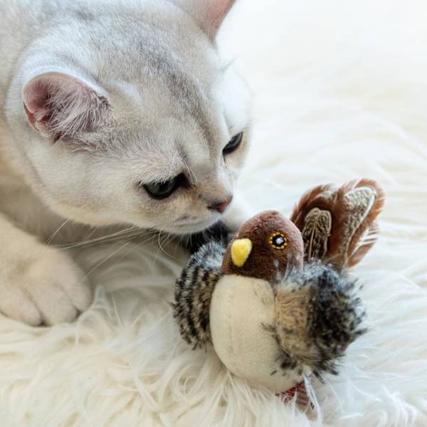 Katt leksaker för inomhuskatter, interaktiv katt leksak med riktig kvittrande fågel elektroniskt ljud, katt fjäder leksaker med mjuk plysch lindra tristess